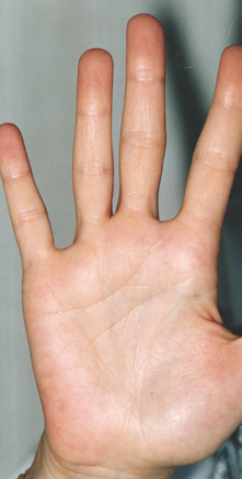 האני החלול1